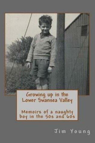 Cover of Growing up in the Lower Swansea Valley