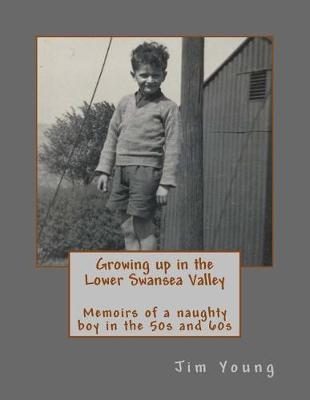 Book cover for Growing up in the Lower Swansea Valley