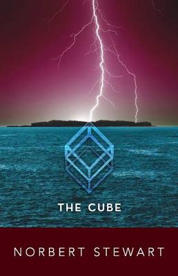 Book cover for The Cube