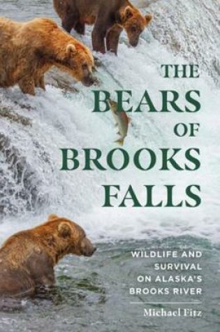 Cover of The Bears of Brooks Falls