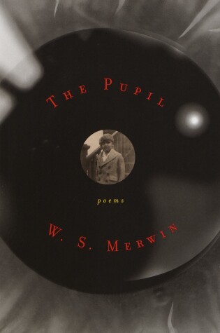 Cover of The Pupil