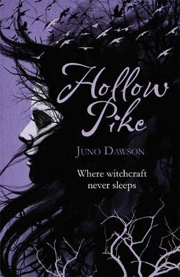 Book cover for Hollow Pike