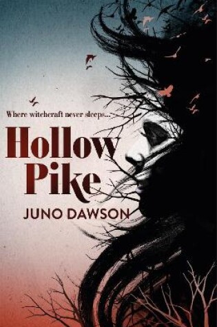 Cover of Hollow Pike