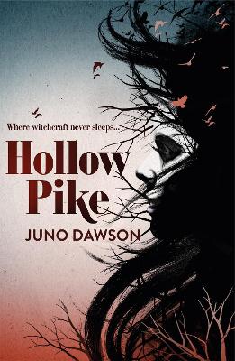 Book cover for Hollow Pike