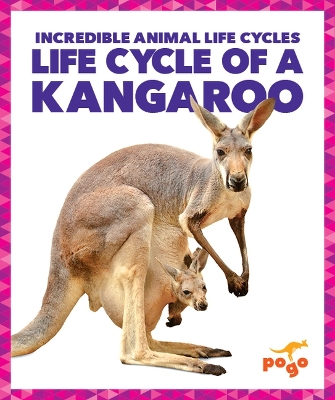 Book cover for Life Cycle of a Kangaroo