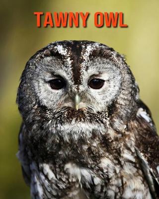 Book cover for Tawny Owl