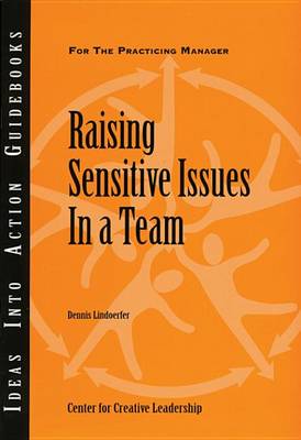 Book cover for Raising Sensitive Issues in a Team