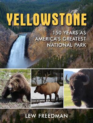 Book cover for Yellowstone