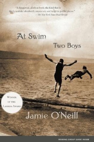 Cover of At Swim Two Boys