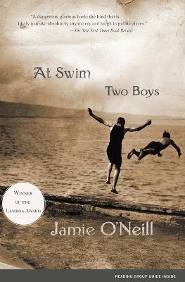 Book cover for At Swim Two Boys