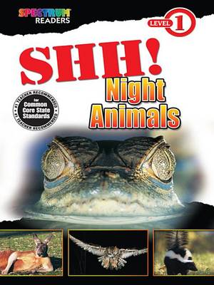 Book cover for Shh! Night Animals