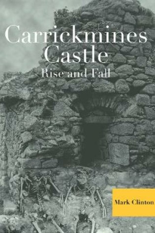 Cover of Carrickmines Castle