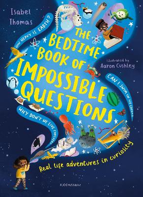 Book cover for The Bedtime Book of Impossible Questions