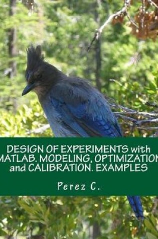 Cover of Design of Experiments with Matlab. Modeling, Optimization and Calibration. Examples
