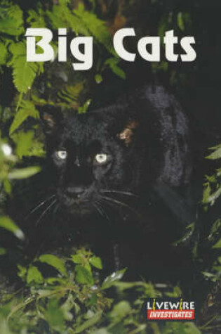 Cover of Livewire Investigates Big Cats