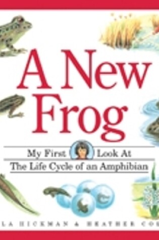 Cover of New Frog