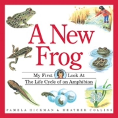 Book cover for New Frog