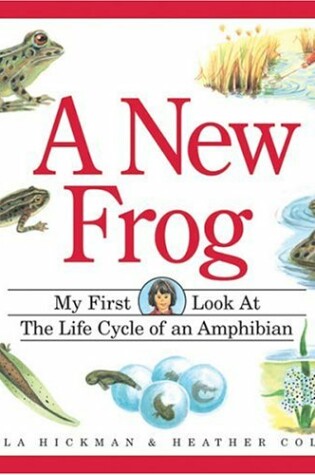 Cover of New Frog