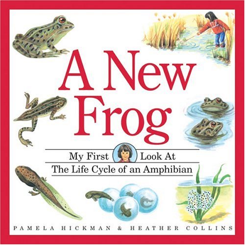 Book cover for New Frog