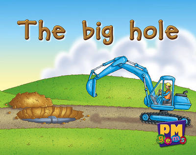 Book cover for The big hole