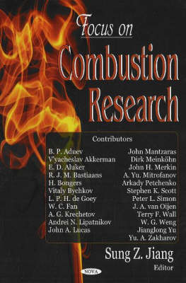 Book cover for Focus on Combustion Research