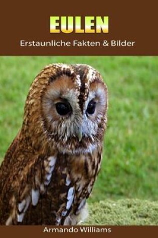 Cover of Eulen