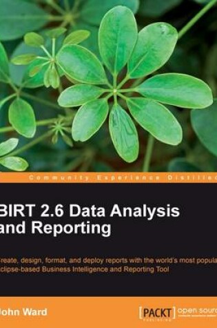 Cover of BIRT 2.6 Data Analysis and Reporting