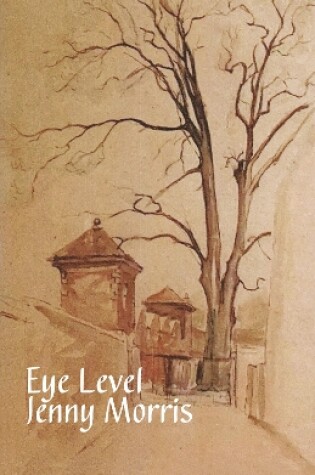 Cover of Eye Level