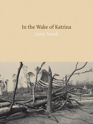 Book cover for In the Wake of Katrina