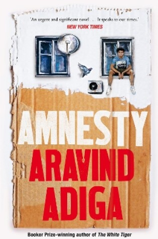 Cover of Amnesty