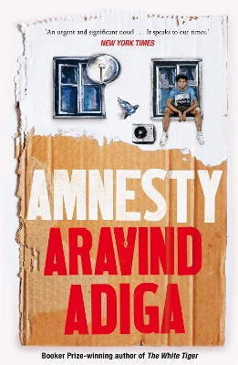 Book cover for Amnesty
