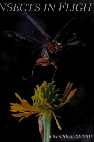 Cover of Insects in Flight