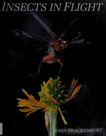 Book cover for Insects in Flight