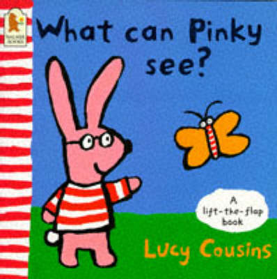 Book cover for What Can Pinky See? Card Book