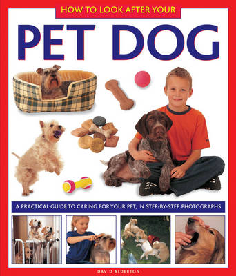 Book cover for How to Look After Your Pet Dog