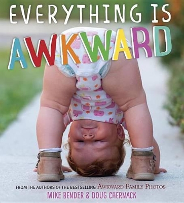 Book cover for Everything Is Awkward