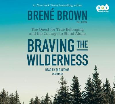 Book cover for Braving the Wilderness