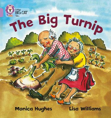 Book cover for The Big Turnip