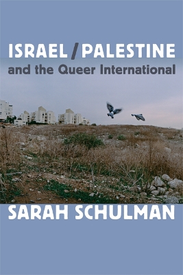 Book cover for Israel/Palestine and the Queer International