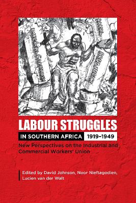 Book cover for Labour Struggles in Southern Africa, 1919-1949