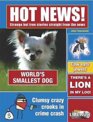 Book cover for Hot News