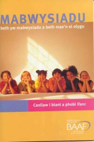 Cover of Mabwysiadu