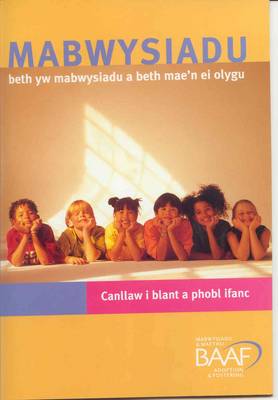 Book cover for Mabwysiadu