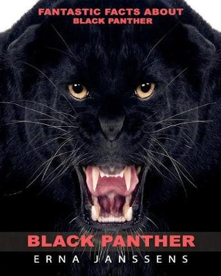 Book cover for Fantastic Facts About Black Panther