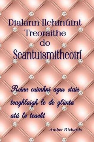 Cover of Dialann Ilchinuint Treoraithe do Seantuismitheoiri