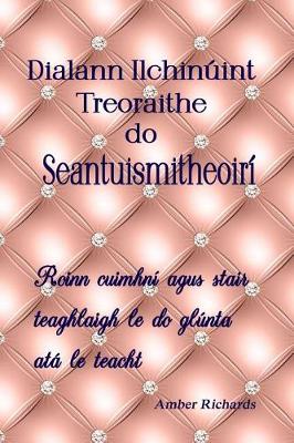 Book cover for Dialann Ilchinuint Treoraithe do Seantuismitheoiri