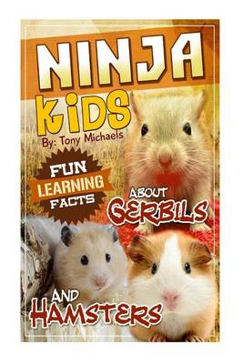 Book cover for Fun Learning Facts about Hamsters and Gerbils