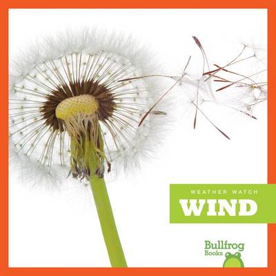 Cover of Wind