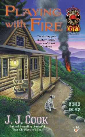 Book cover for Playing with Fire