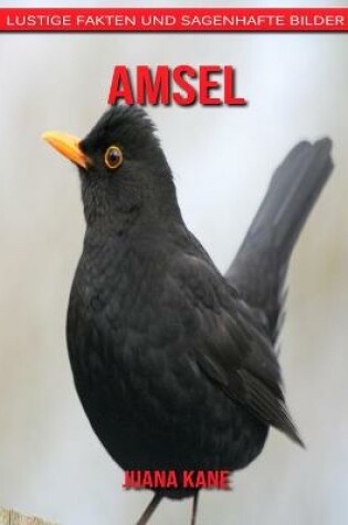 Cover of Amsel